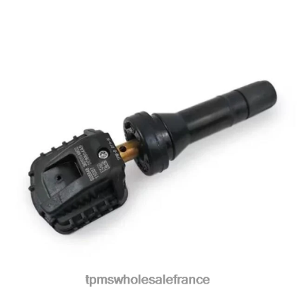 tpms changer le capteur de pression 3601010bk01 433mhz TPMS Sensor France 62H0D1742