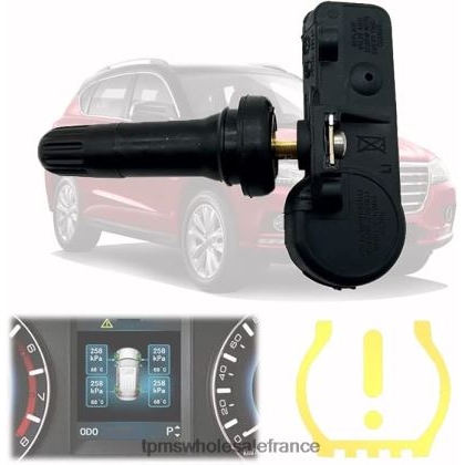 tpms haval/gwm le capteur de pression 3641100xku00a 433mhz TPMS Sensor France 62H0D1692